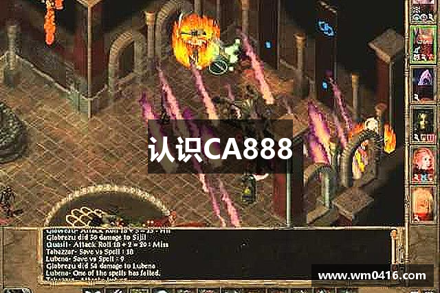 认识CA888